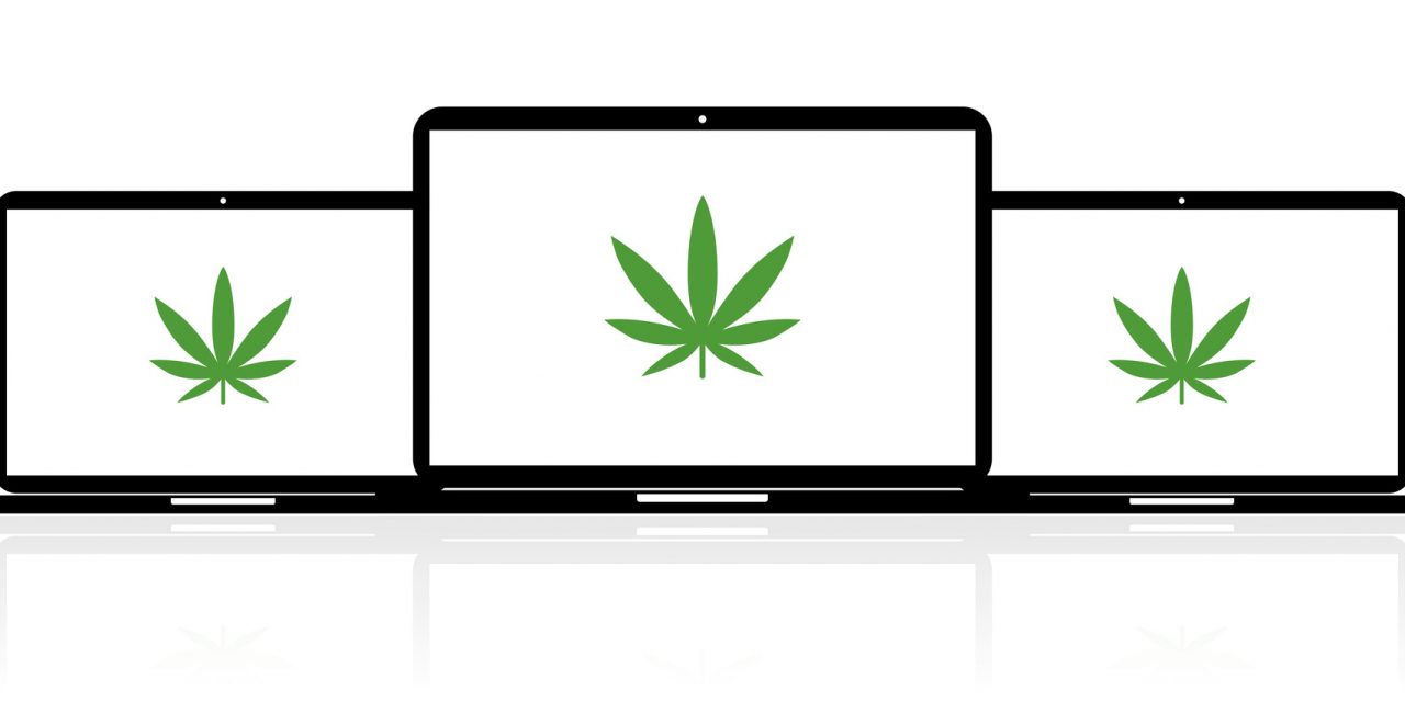 5 Essential SEO Solutions to Help Your Cannabis Website Rank