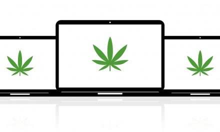 5 Essential SEO Solutions to Help Your Cannabis Website Rank