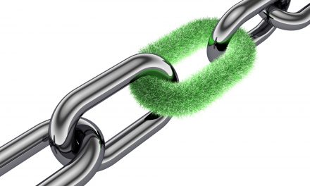 The Organic Link Profile: Your Key to Boosting Your Rankings